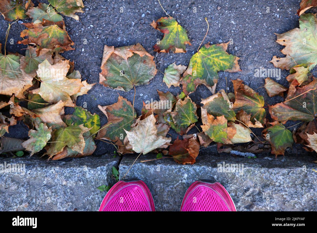 Tips of broken cheap pink Nike sneakers with colorful fall leaves in  Helsinki, Finland, September 2019. High angle view color image of the shoes  Stock Photo - Alamy