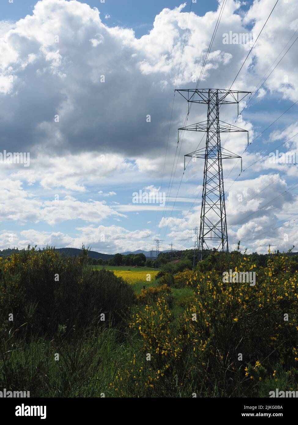 Electricity pylons in a field of rapeseed, with broom in foreground, & a cloudy blue sky & sunshine. Stock Photo