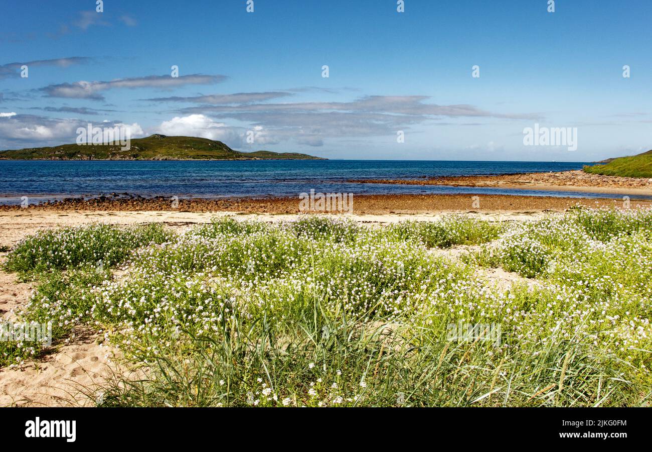 BIG SAND BEACH GAIRLOCH SCOTLAND THE RIVER SAND FLOWING PAST THE FLOWER COVERED SANDY BEACH Stock Photo
