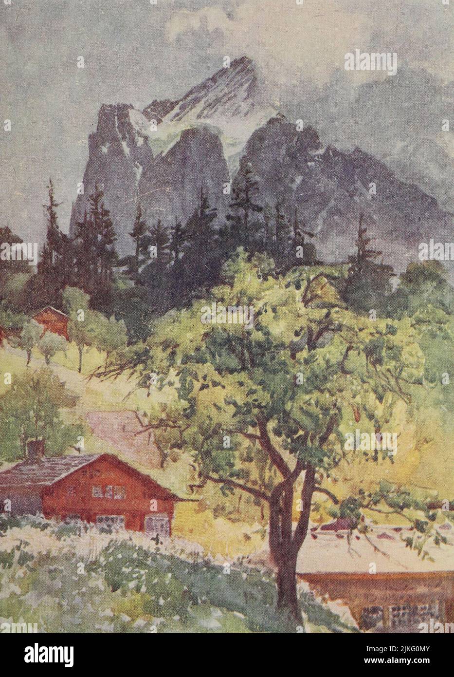 The Wetterhorn Grindelwald Chalets, flower-clad slopes and sunlit trees Painted by A. D. McCormick from the book ' The Alps ' by Sir William Martin Conway,  Publication date 1904 Publisher London : Adam and Charles Black Arthur David McCormick FRGS (Coleraine 14 October 1860 – 1943) was a notable British illustrator and painter of landscapes, historical scenes, naval subjects, and genre scenes. Stock Photo