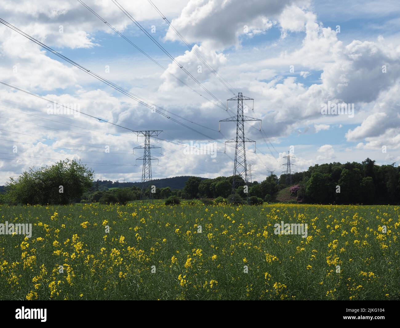 Electricity pylons in a field of rapeseed against a cloudy blue sky & sunshine. Trees in the distance. Stock Photo