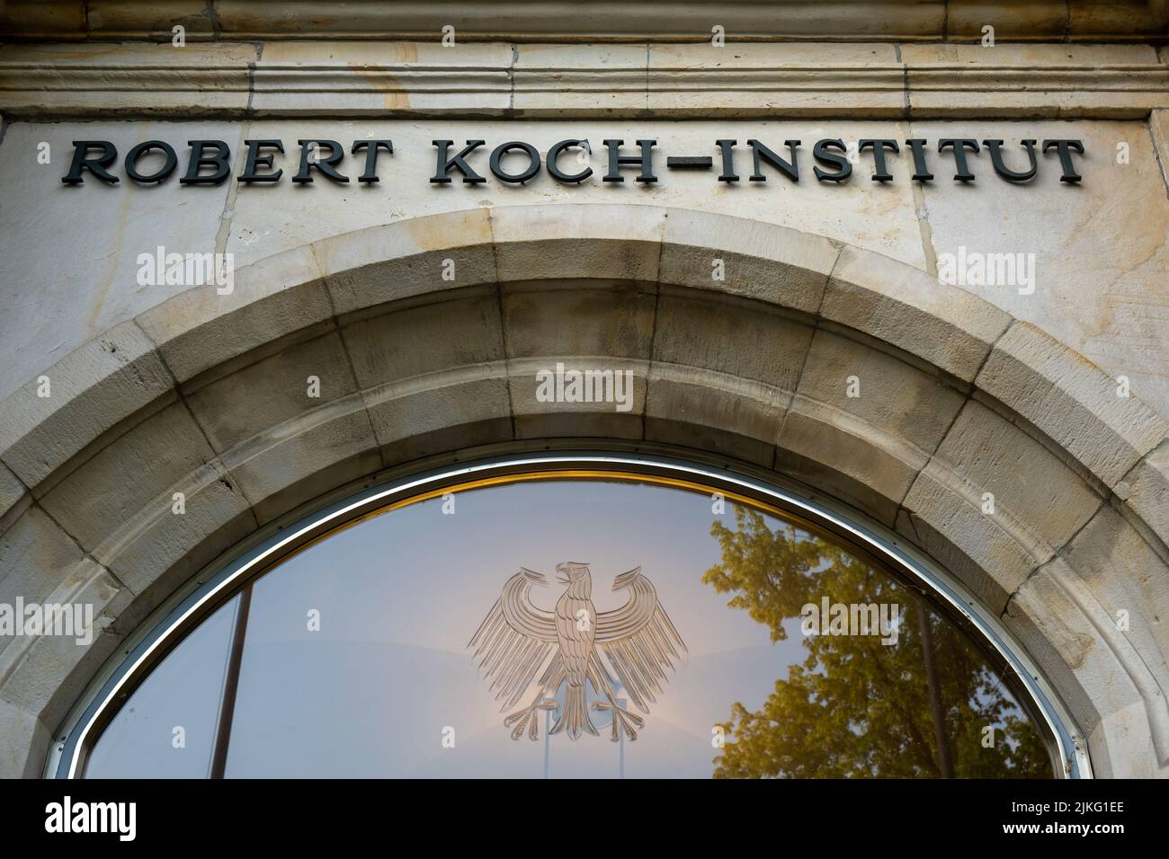 Colds, Flu, and COVID-19: How Sick Is Germany Currently?