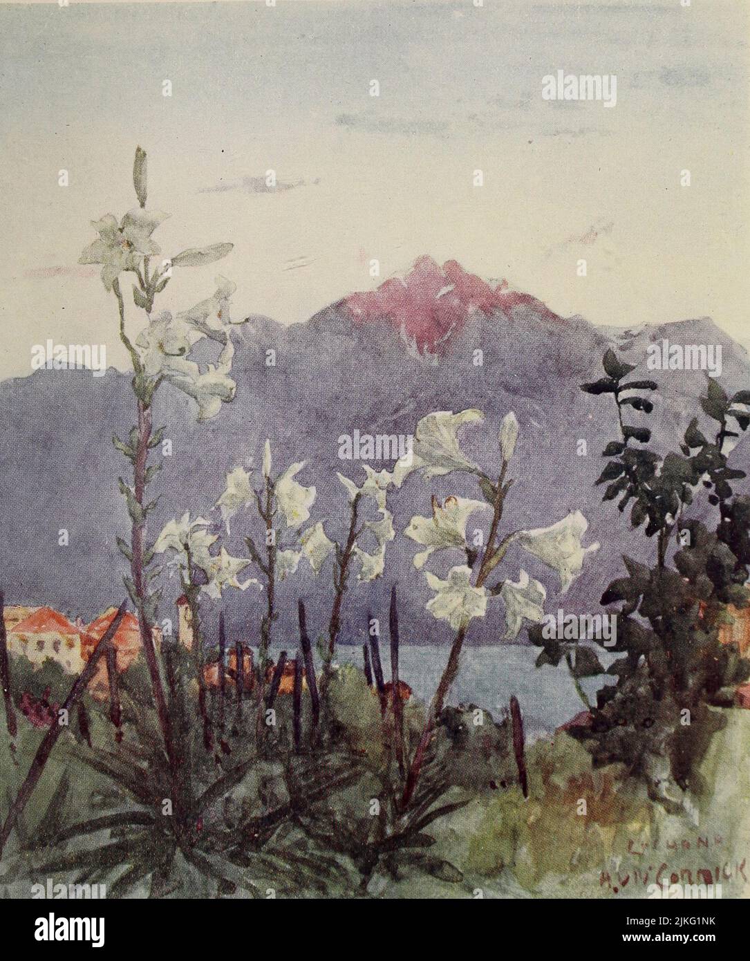 In a Garden at Locarno Last gleam of the sunset on the hills above Lago Maggiore Painted by A. D. McCormick from the book ' The Alps ' by Sir William Martin Conway,  Publication date 1904 Publisher London : Adam and Charles Black Arthur David McCormick FRGS (Coleraine 14 October 1860 – 1943) was a notable British illustrator and painter of landscapes, historical scenes, naval subjects, and genre scenes. Stock Photo