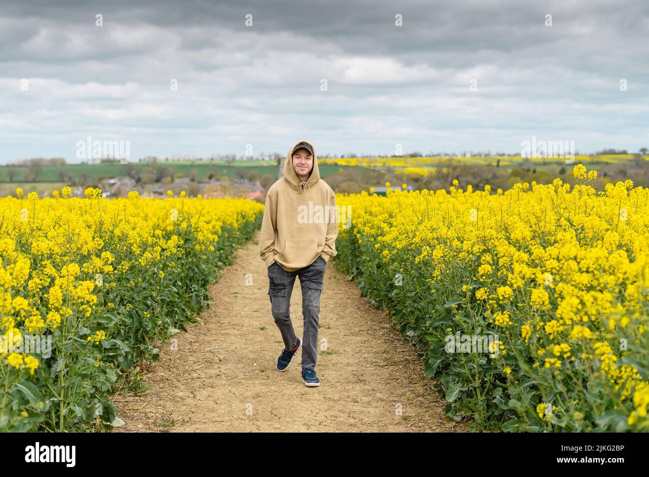 A young Caucasian man in a hoodie walking on a pathway through the white mustard field Stock Photo
