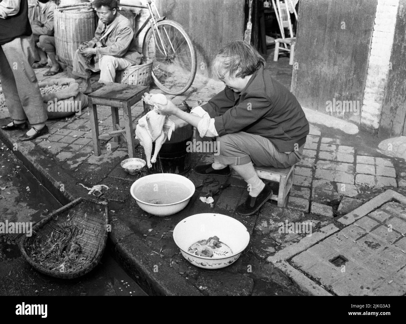 CHINA XIAN elderly woman plucks a chicken out on the street Stock Photo