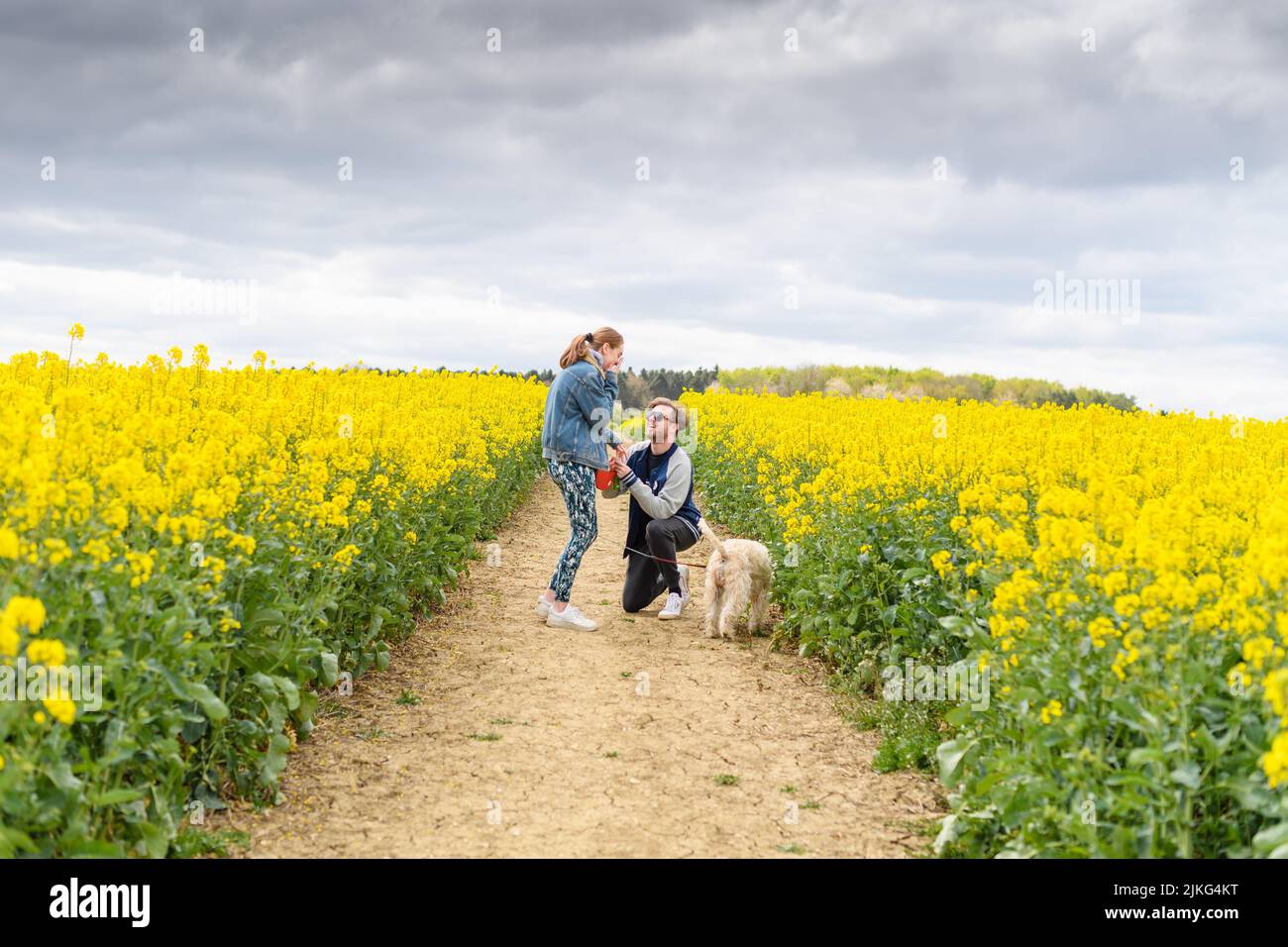 A cheerful couple enjoying their time with their dog in the white mustard field Stock Photo