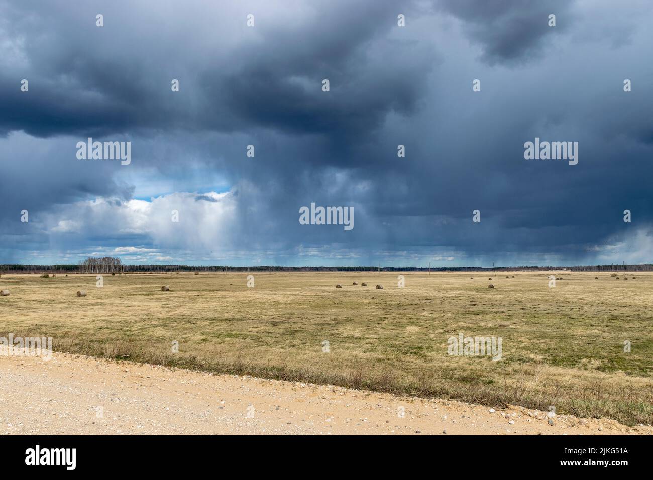 simple rural landscape, beautiful cumulus clouds, Silzemnieki meadows ...