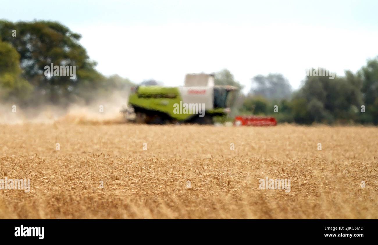 A combine harvester works through heat haze in a field near Ashford, Kent, as the dry weather continues. Picture date: Tuesday August 2, 2022. Stock Photo
