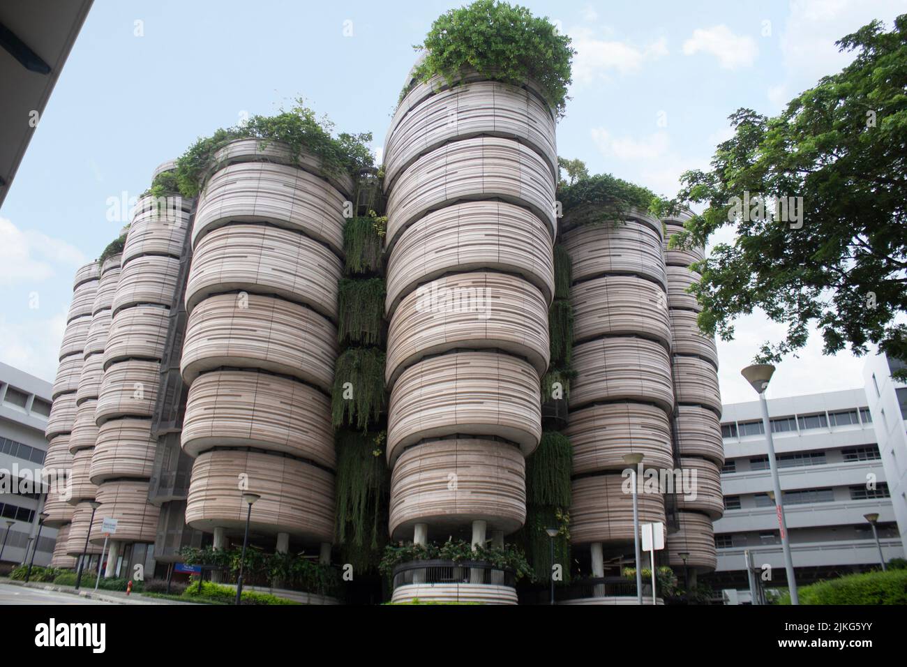 The Hive, Learning Hub South, Nanyang Technological University, 52 Nanyang Ave, Singapore Stock Photo