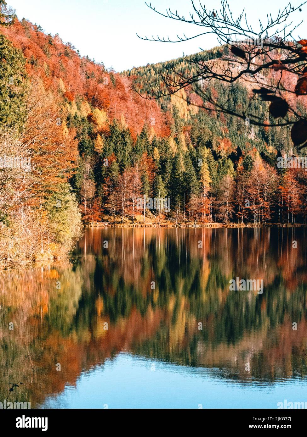 Reflection of fall trees hi-res stock photography and images - Alamy