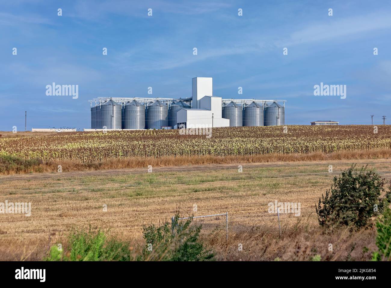 Raw material storage tanks, silo for sunflower seed oil production plant and the sunflower farm in the foreground. Sunny, partially cloudy sky. Stock Photo