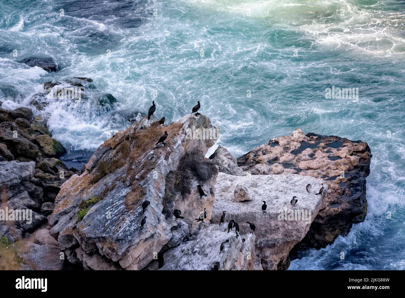 Waves and rocky coast of Kiyikoy Town of Kirklareli city in Turkey. Black Sea Coast. Cormorant birds resting on the rocks. Stock Photo