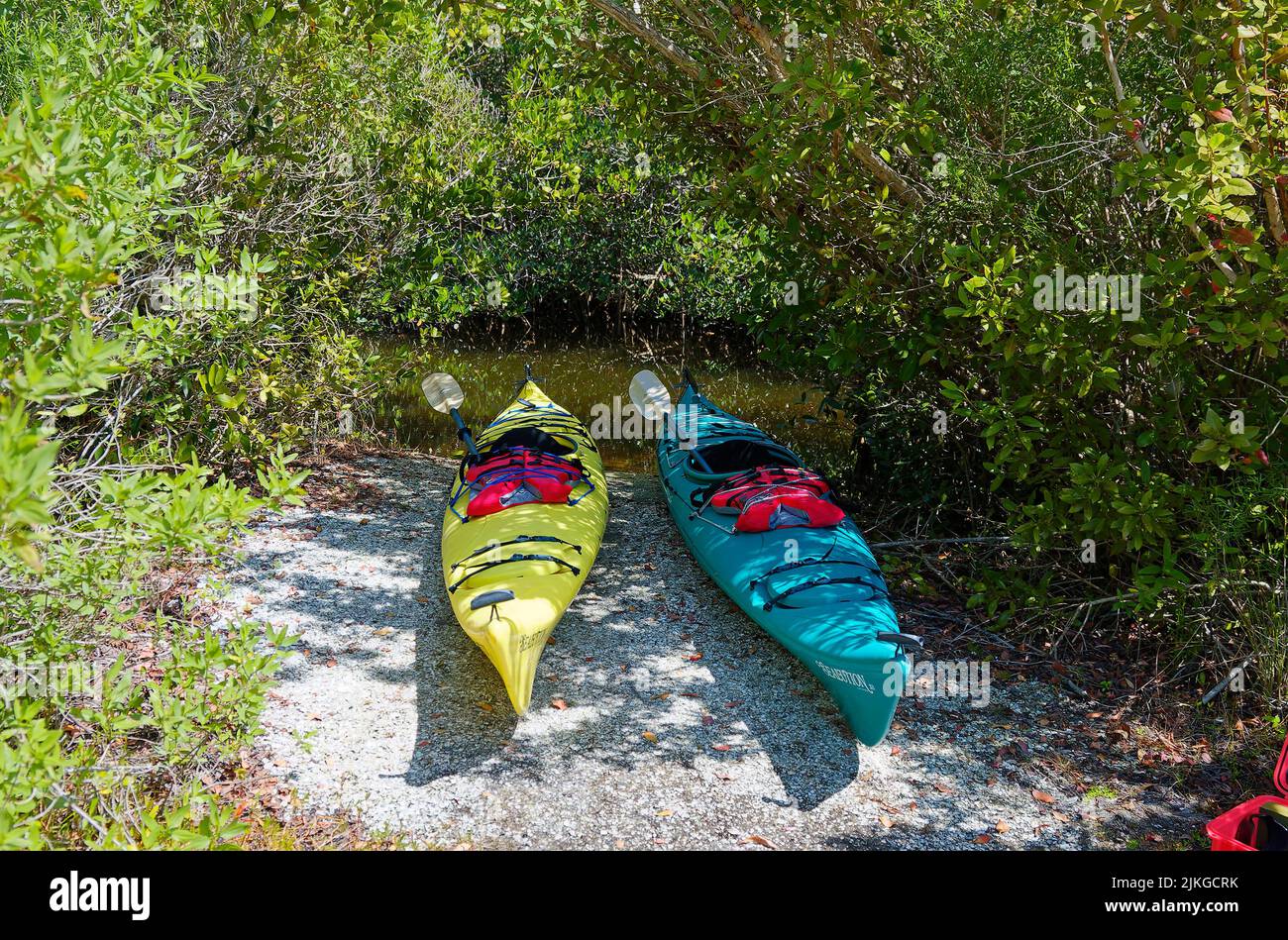 2 kayaks ready to be launched, very small creek, heavy vegetation, yellow, aqua, paddles, PFDs, recreation, fun, sport exercise, Florida, Venice, FL, Stock Photo