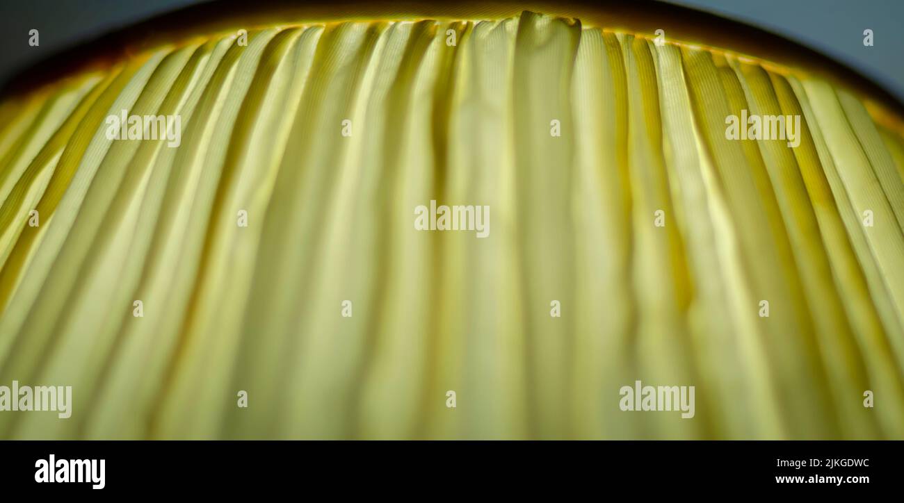 A close up of the fabric of a glowing lampshade. Stock Photo