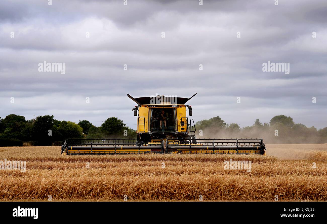 A combine harvester at work in a field near Brenzett in Kent, as the dry weather continues. Picture date: Tuesday August 2, 2022. Stock Photo