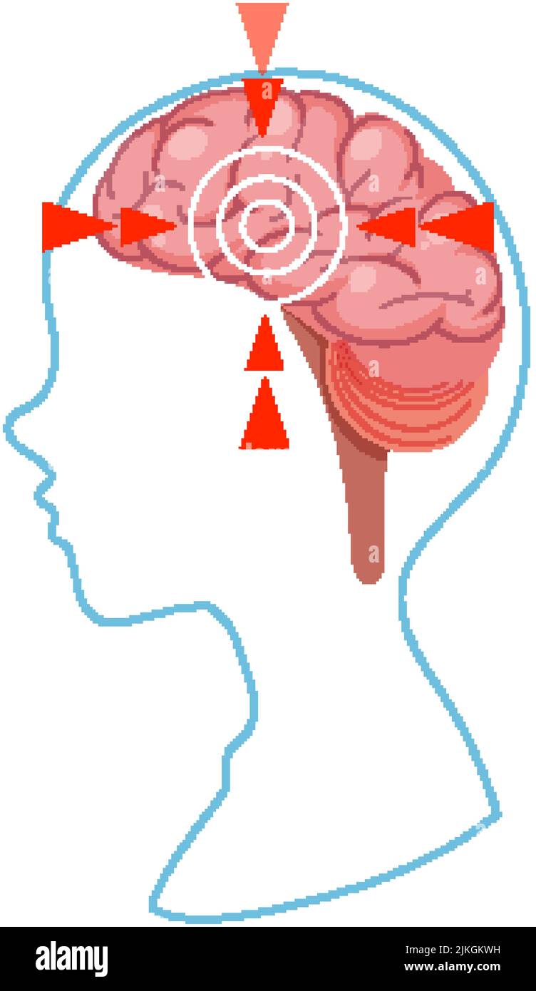 Human brain isolated vector illustration Stock Vector Image & Art - Alamy