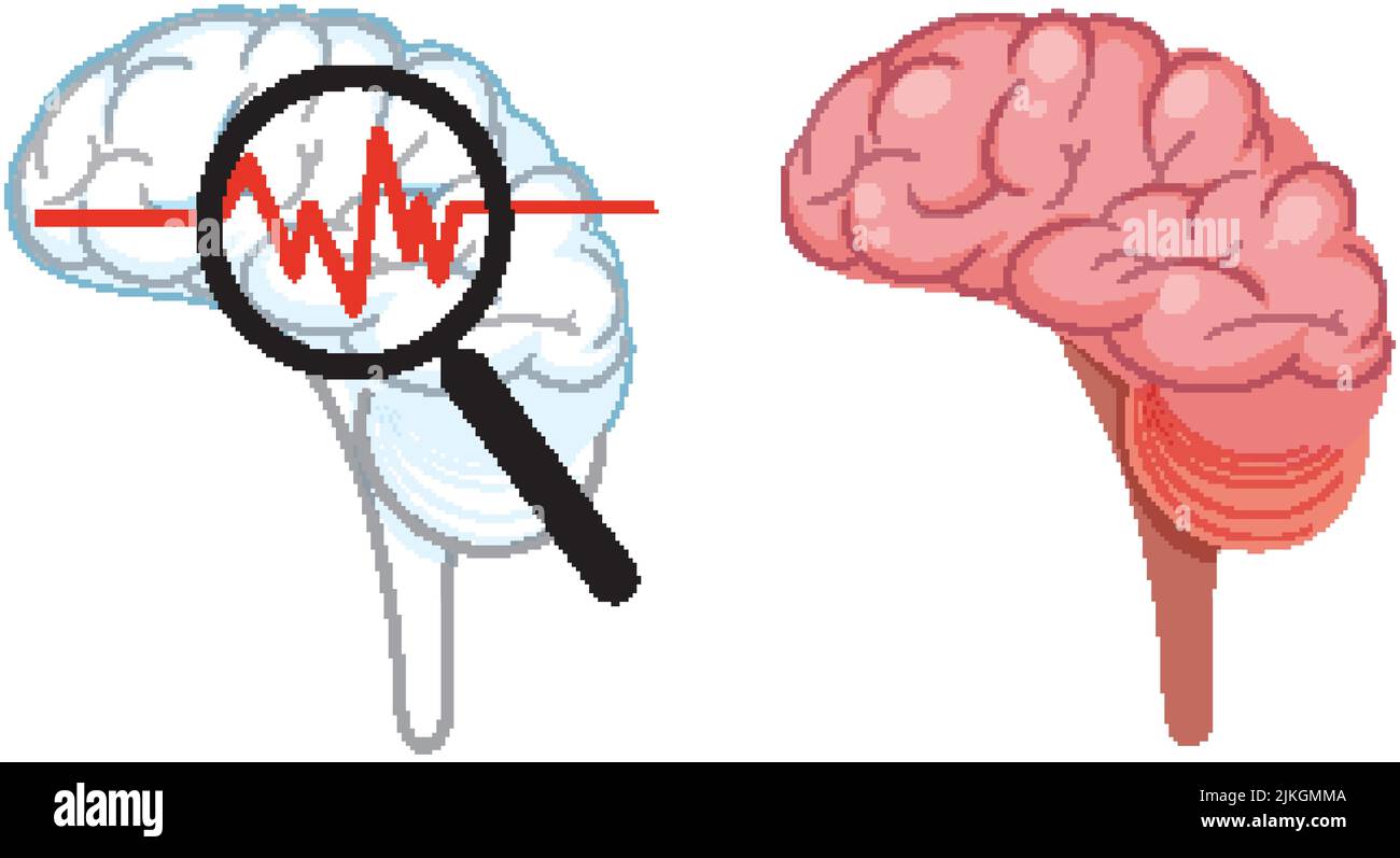 Human brain isolated vector illustration Stock Vector Image & Art - Alamy
