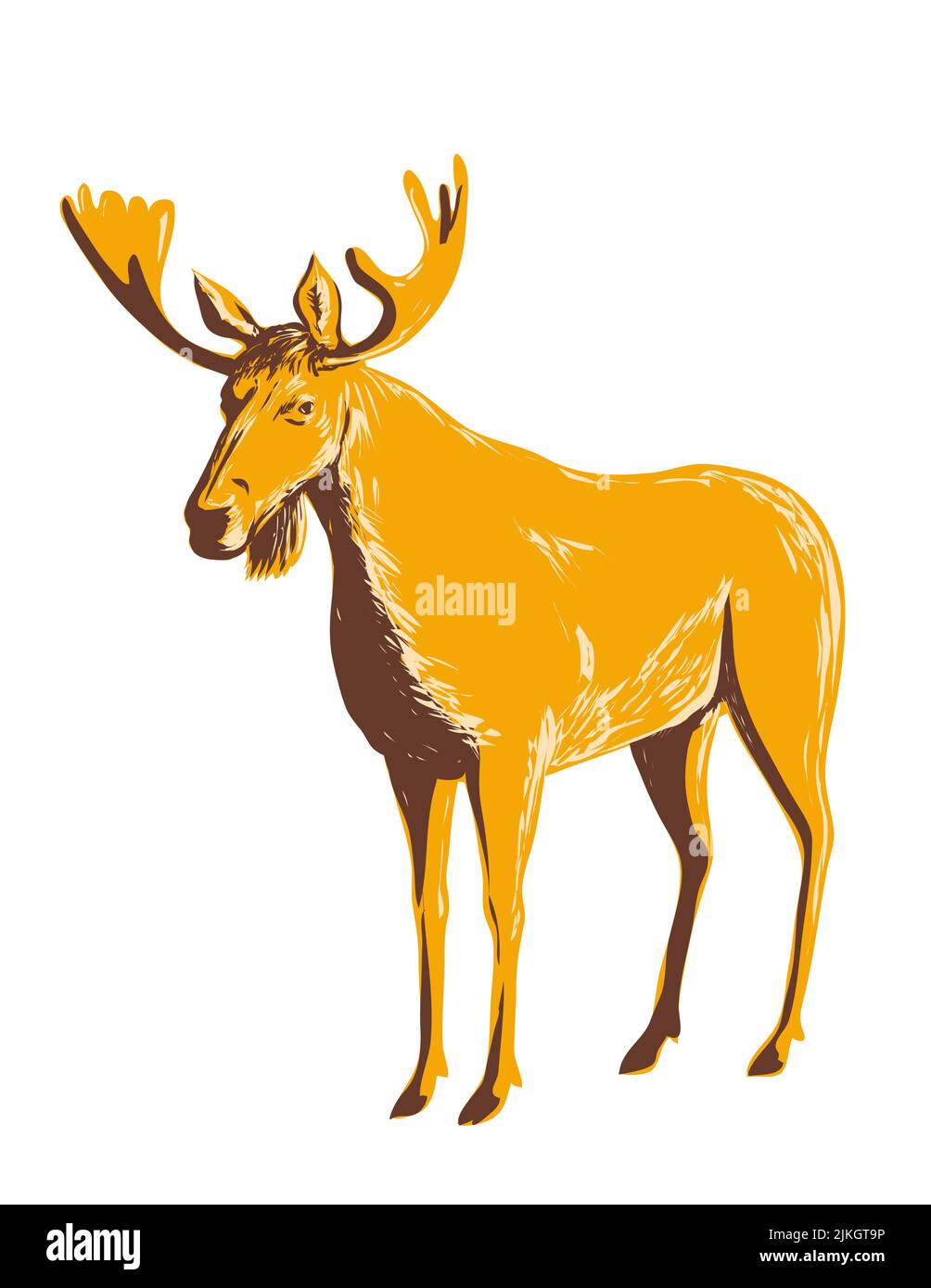 WPA poster art of an adult male moose or elk viewed from the side on isolated white background done in works project administration style or federal a Stock Photo