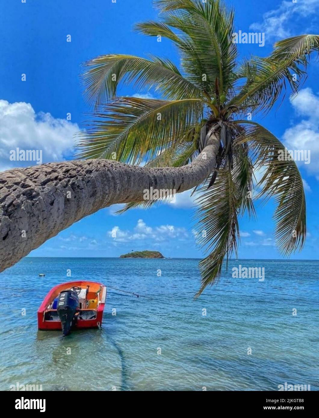 A vertical shot of a boat in the sea under a palm tree Stock Photo - Alamy