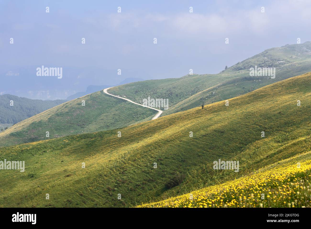 Сountry road meanders along the endless slopes of alpine flowering meadows, Verona, Italy Stock Photo