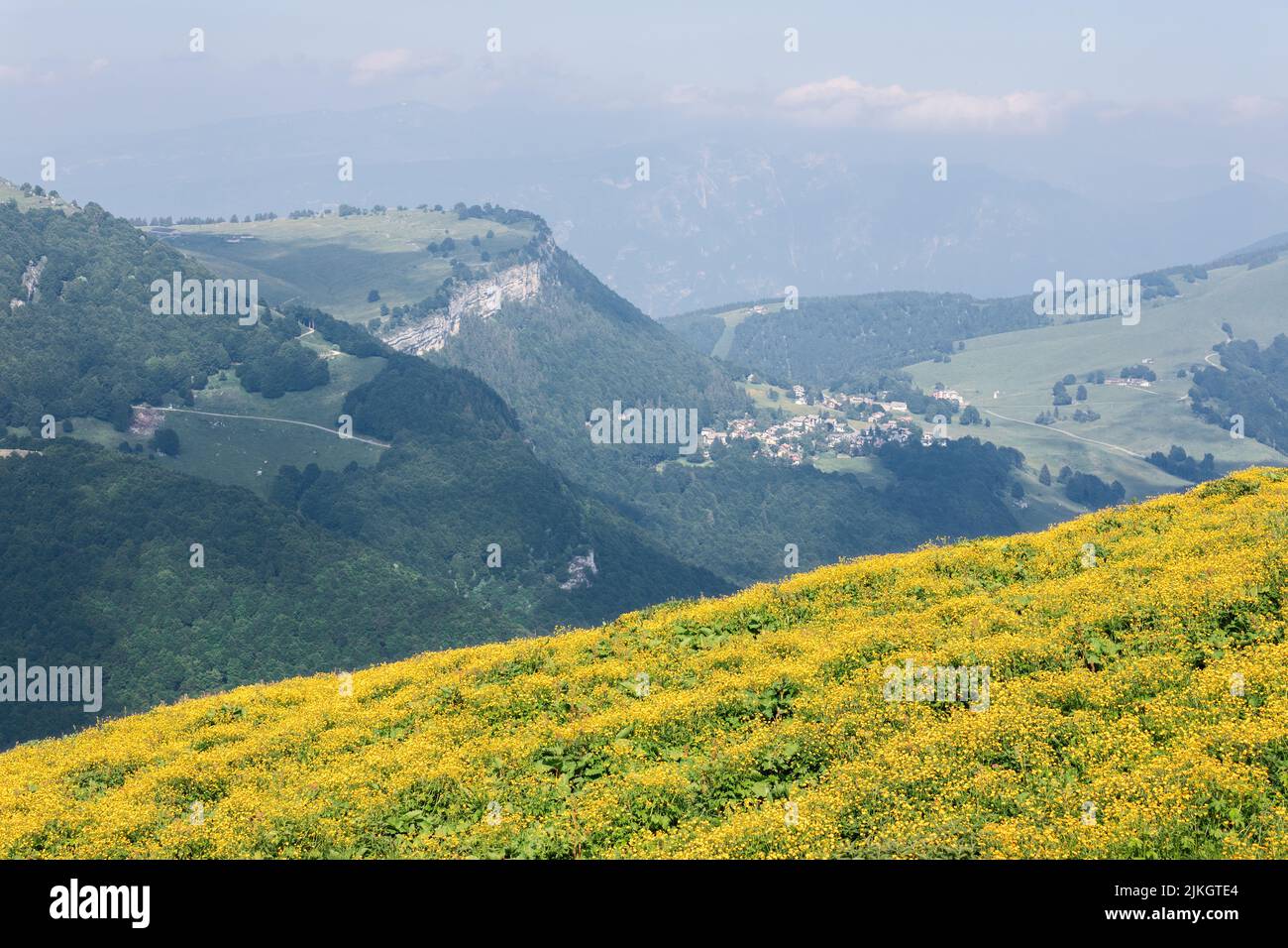 Endless string of alpine mountain ranges covered with green forests and