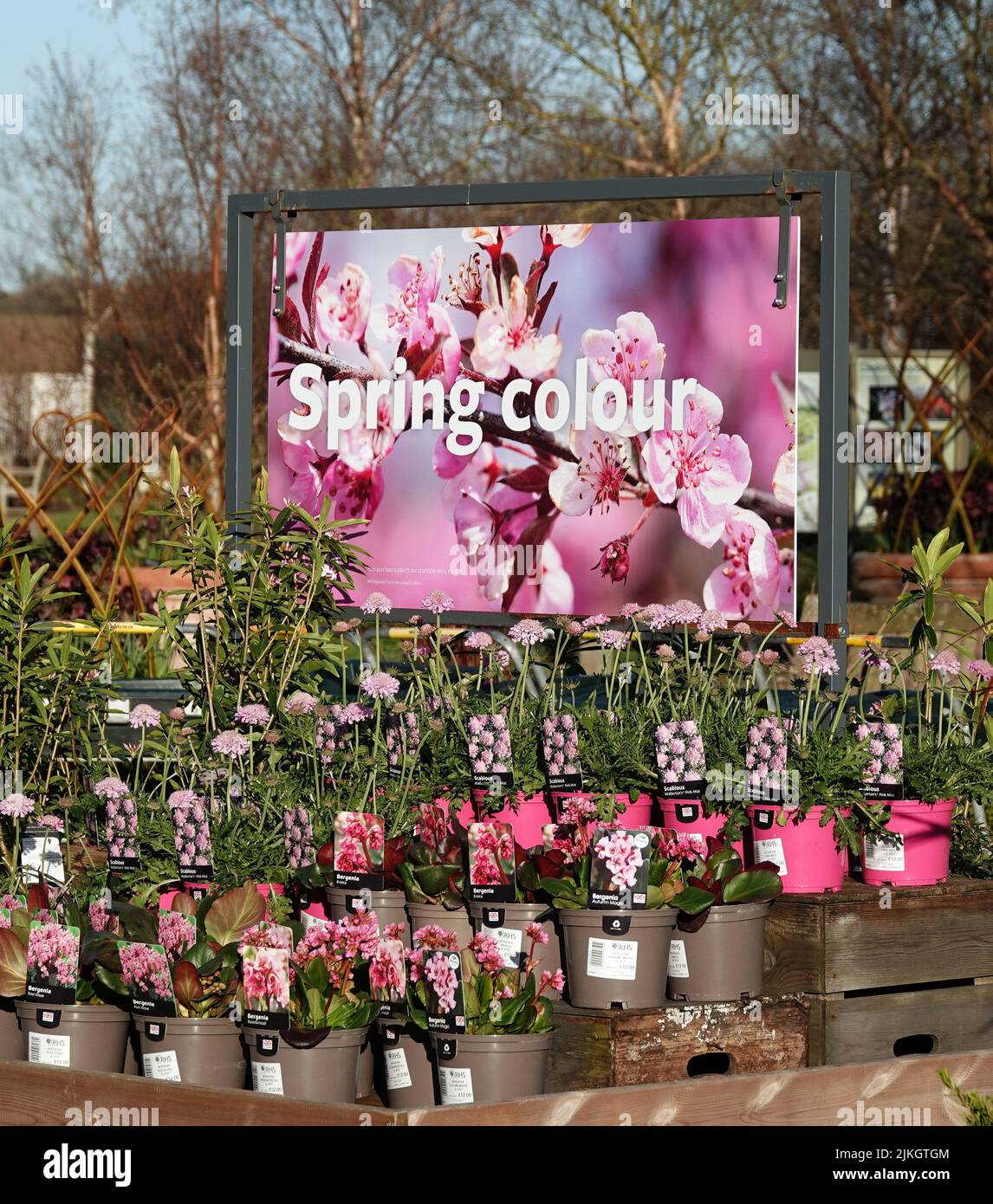 A beautiful Spring Colour sign in the garden at RHS Hyde Hall, Chelmsford, Essex, UK Stock Photo