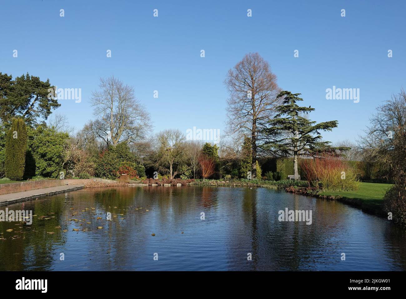 The pond at RHS Garden Hyde Hall, Chelmsford, Essex, United Kingdom Stock Photo