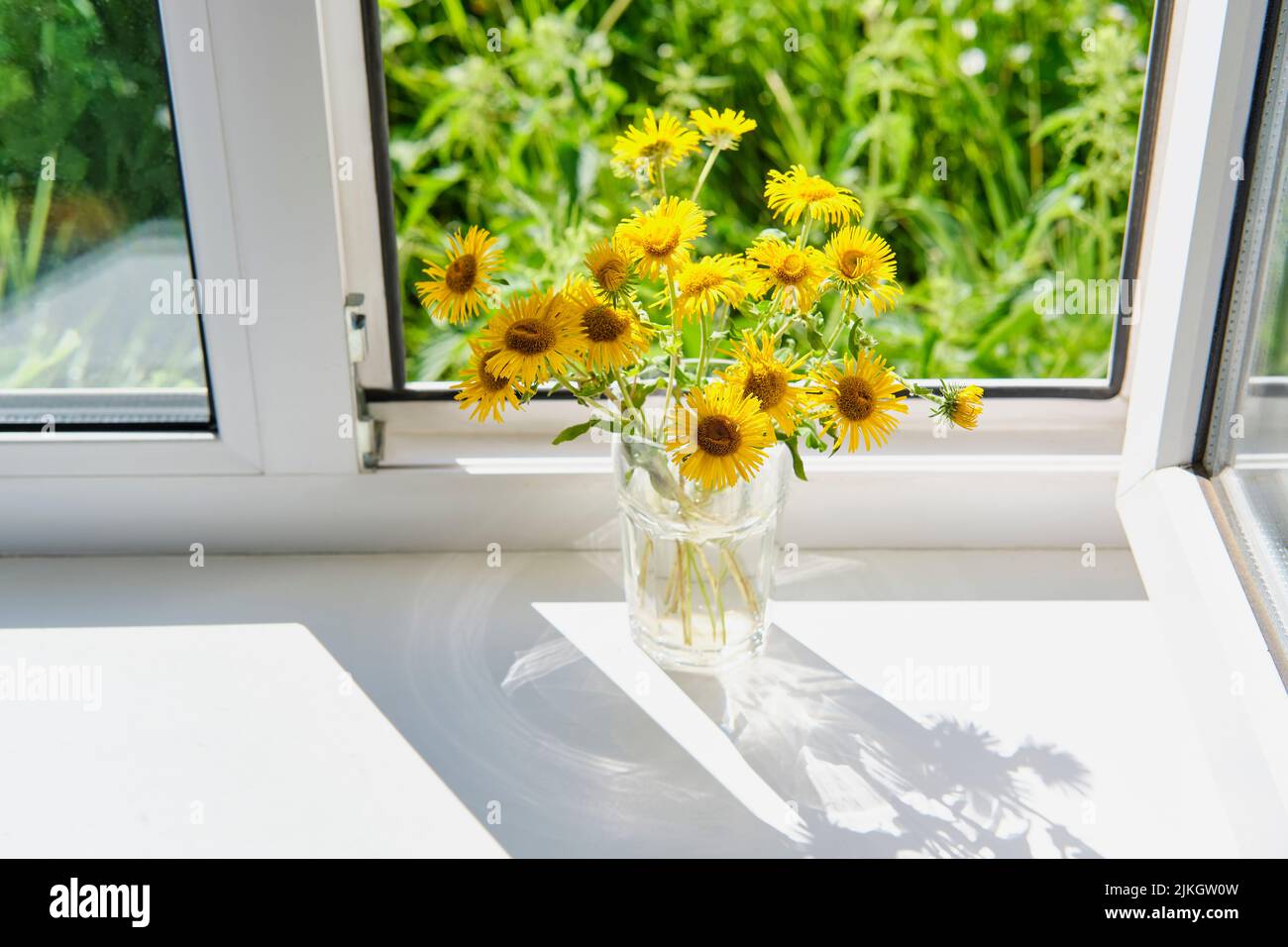 Bouquet of yellow wild meadow flowers in glass vase on window sill