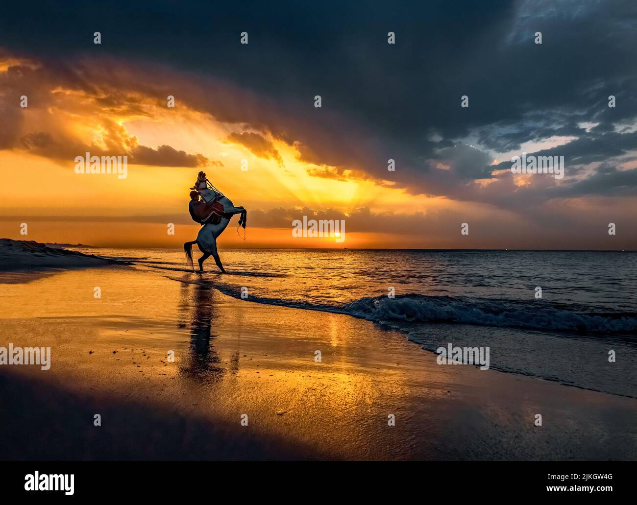 Silhouette horse rider beach sunset hi-res stock photography and images ...