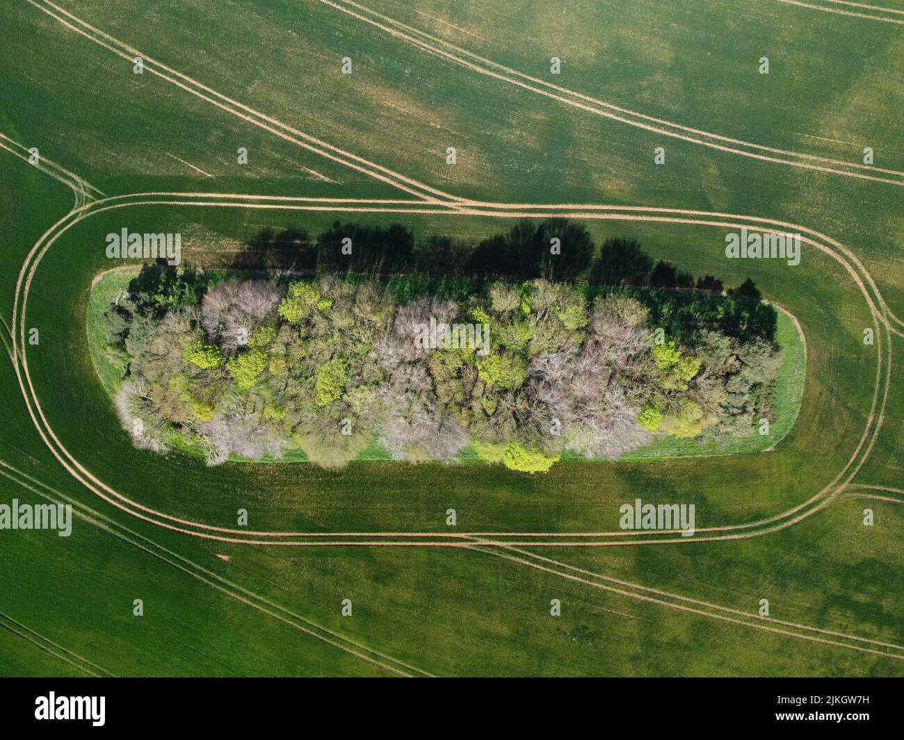 Aerial view green trees growing hi-res stock photography and images - Alamy