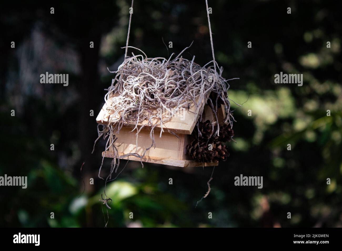 A selective focus of a small wooden birdhouse hanging from a tree Stock Photo Alamy