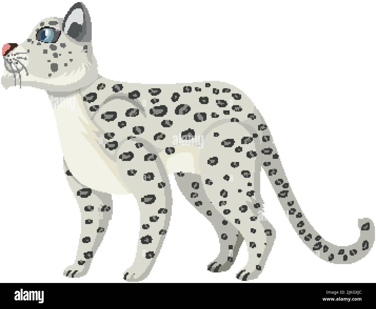 Snow leopard isolated on white background illustration Stock Vector ...