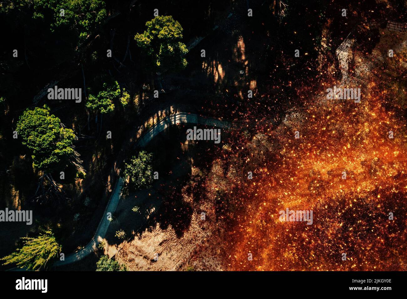 Top down aerial view of forest fire in shrubs and trees next to a path in the forest Stock Photo