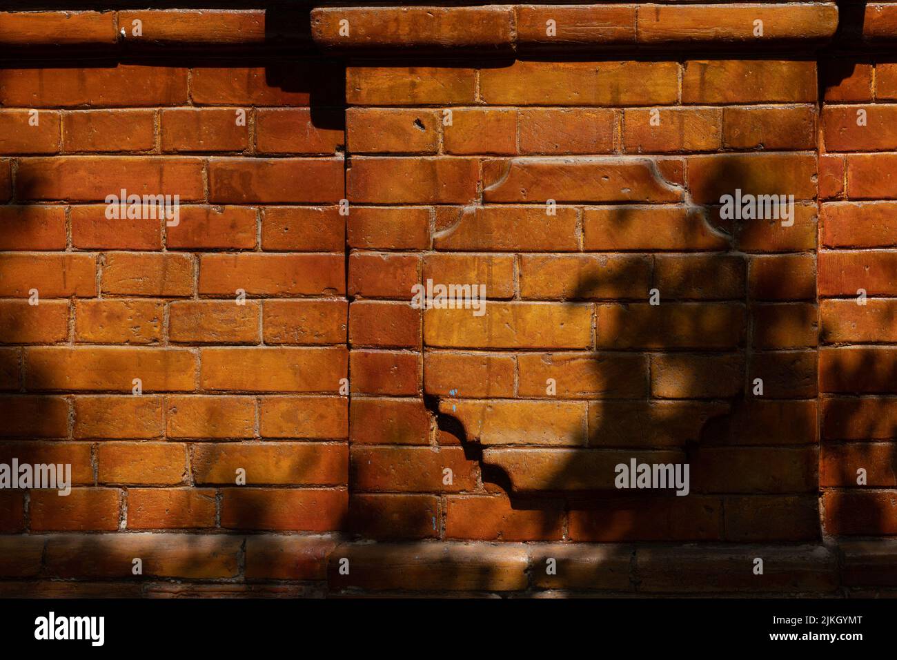 A brick wall with shadows of trees Stock Photo