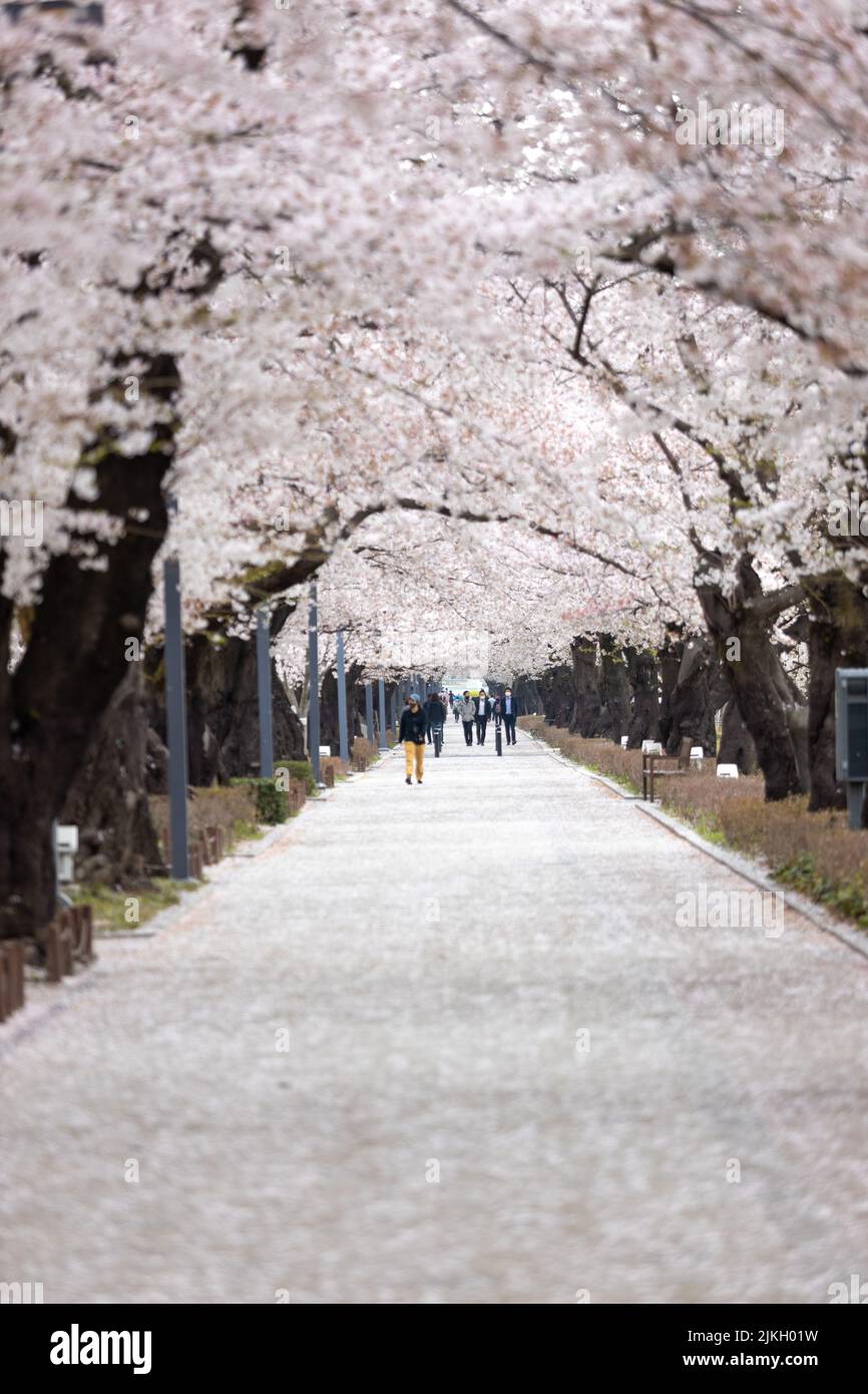 People walking on pathway hi-res stock photography and images - Alamy