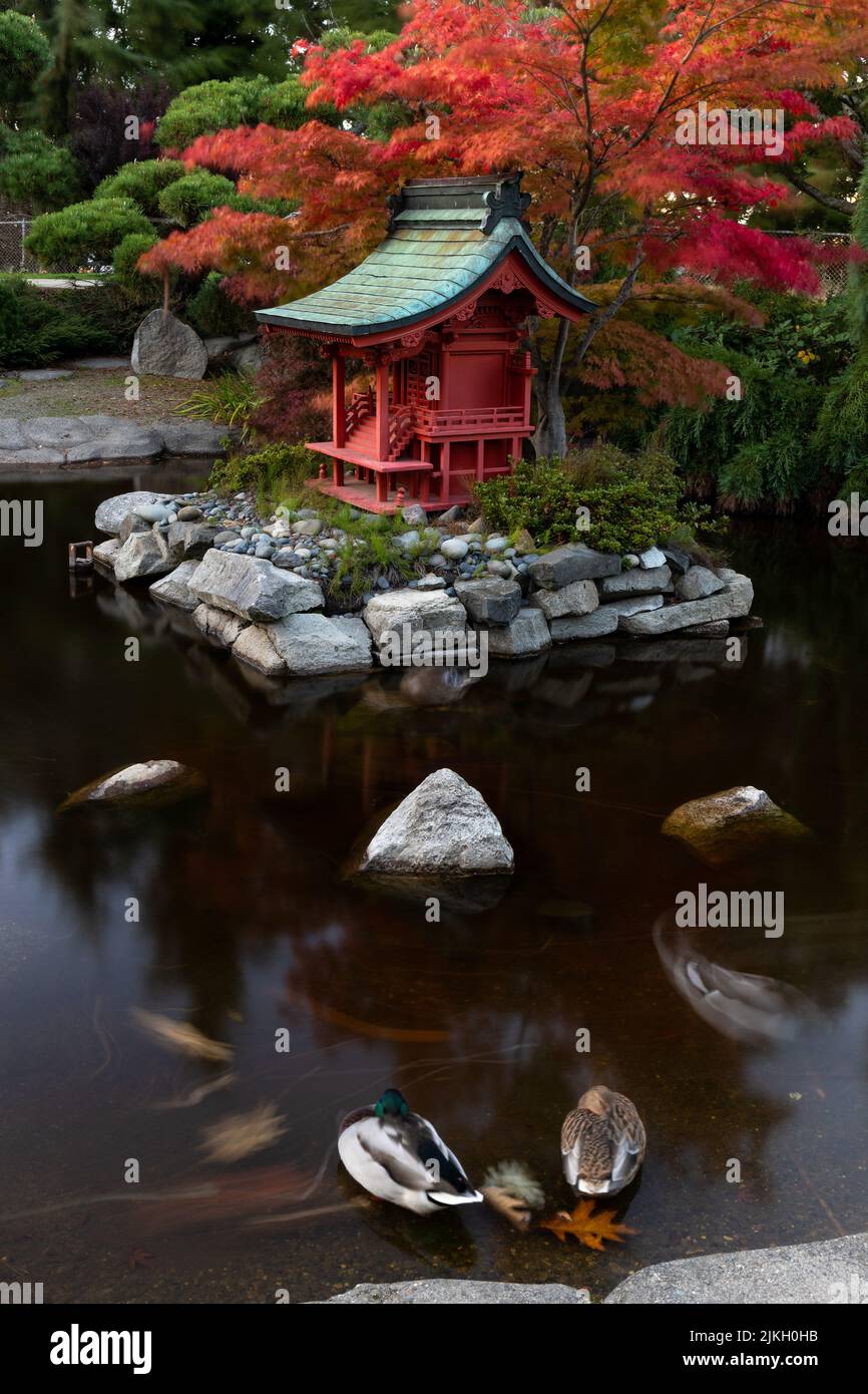 Point defiance pagoda hires stock photography and images Alamy