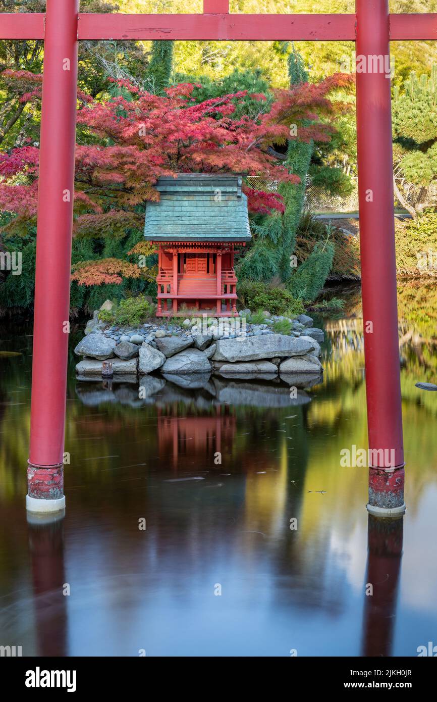 Red Pagoda Surrounded By Torii Gate in Japanese Garden Pond in Point Defiance Park, Tacoma, WA Stock Photo