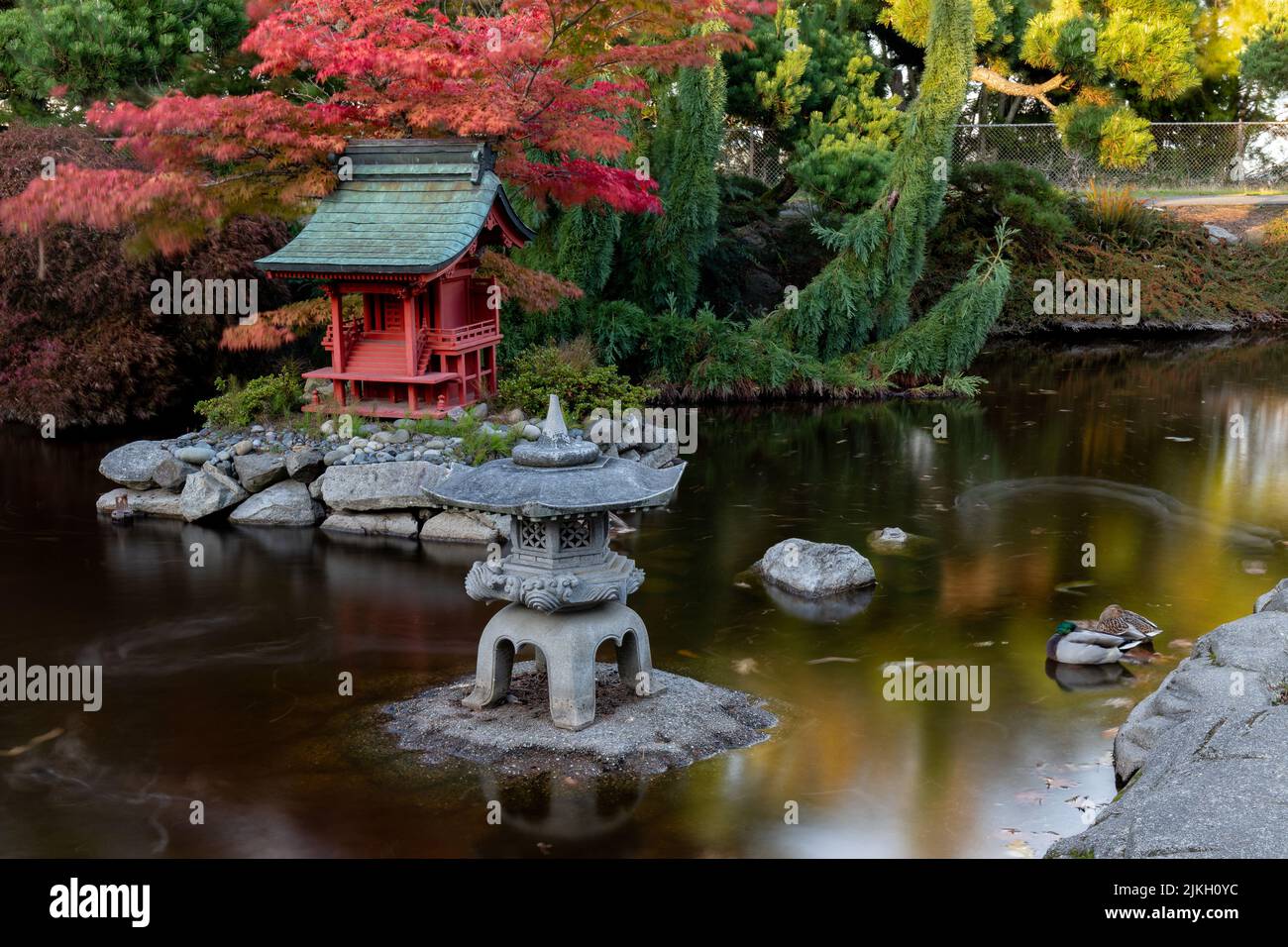 Japanese Garden Pond with Red Pagoda in Point Defiance Park, Tacoma, WA Stock Photo