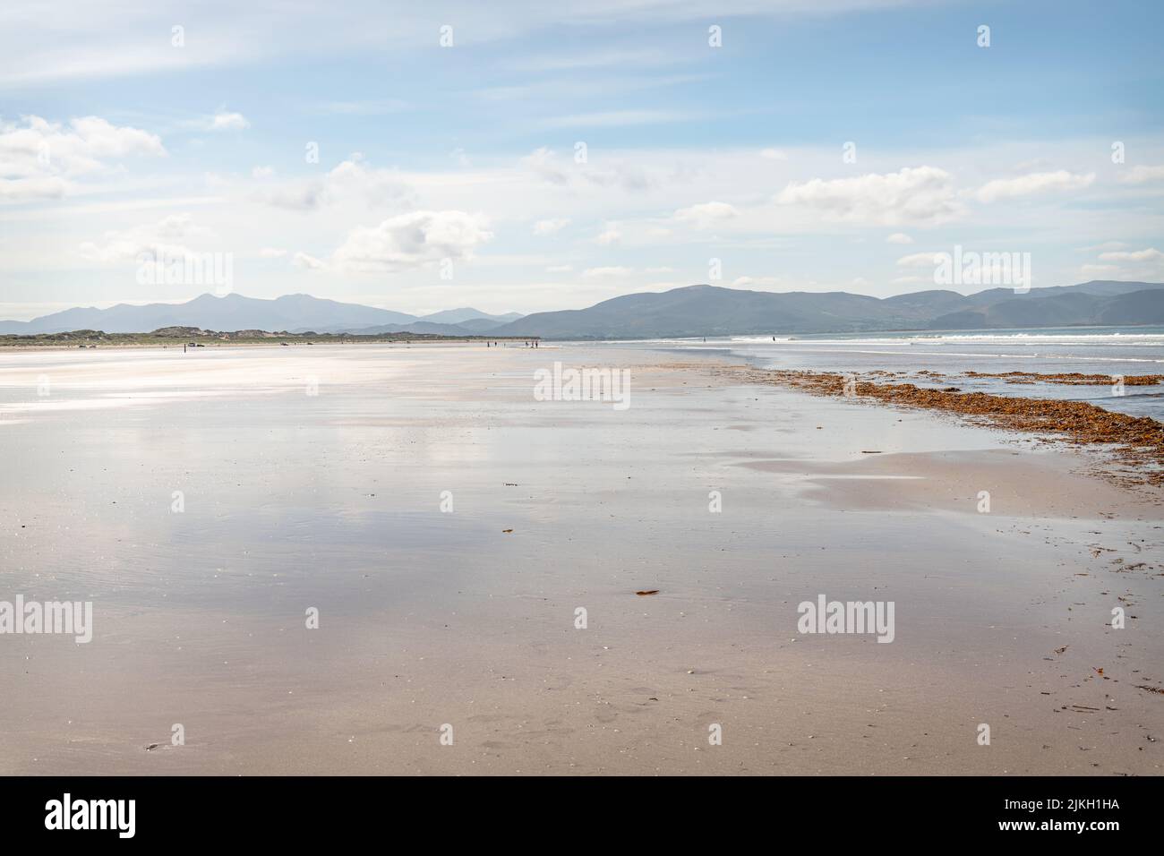 Inch Strand Beach in County Kerry, Ireland Stock Photo