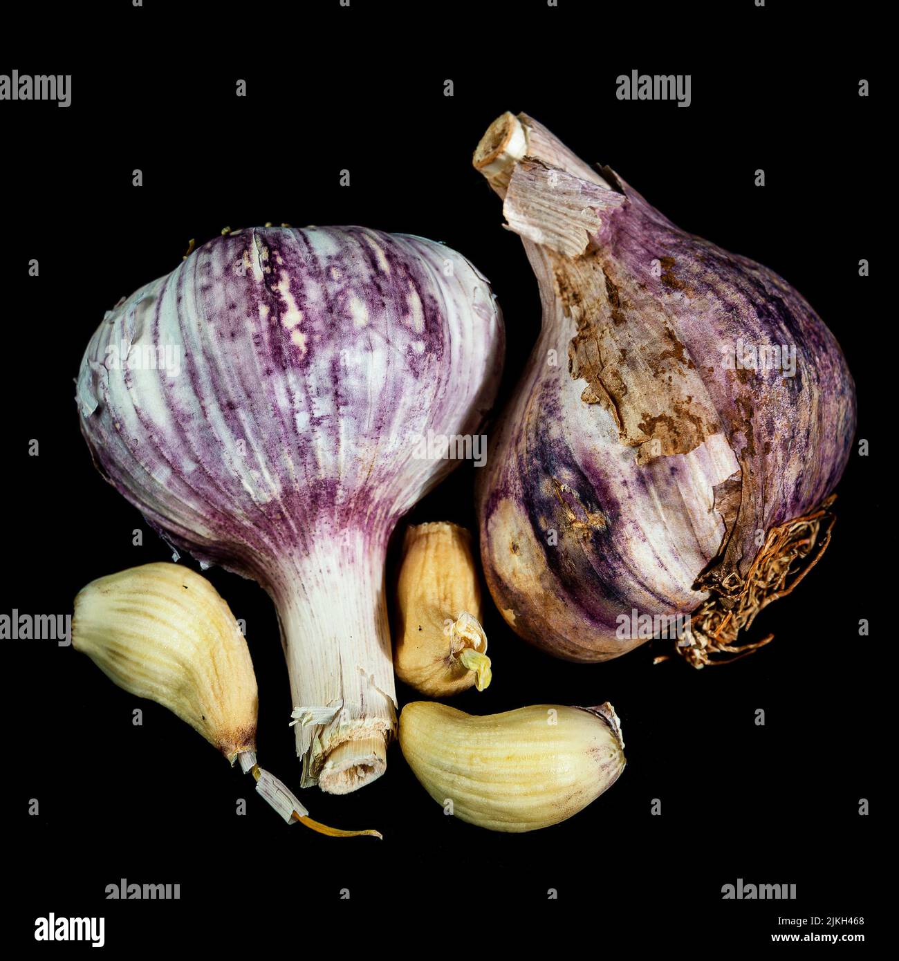 Drooping Garlic A vertical closeup of old deteriorating garlic bulbs isolated on a ...
