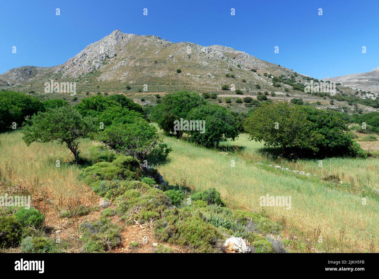 Scenery, Livadia,  Tilos, Dodecanese islands, Southern Aegean, Greece. Stock Photo