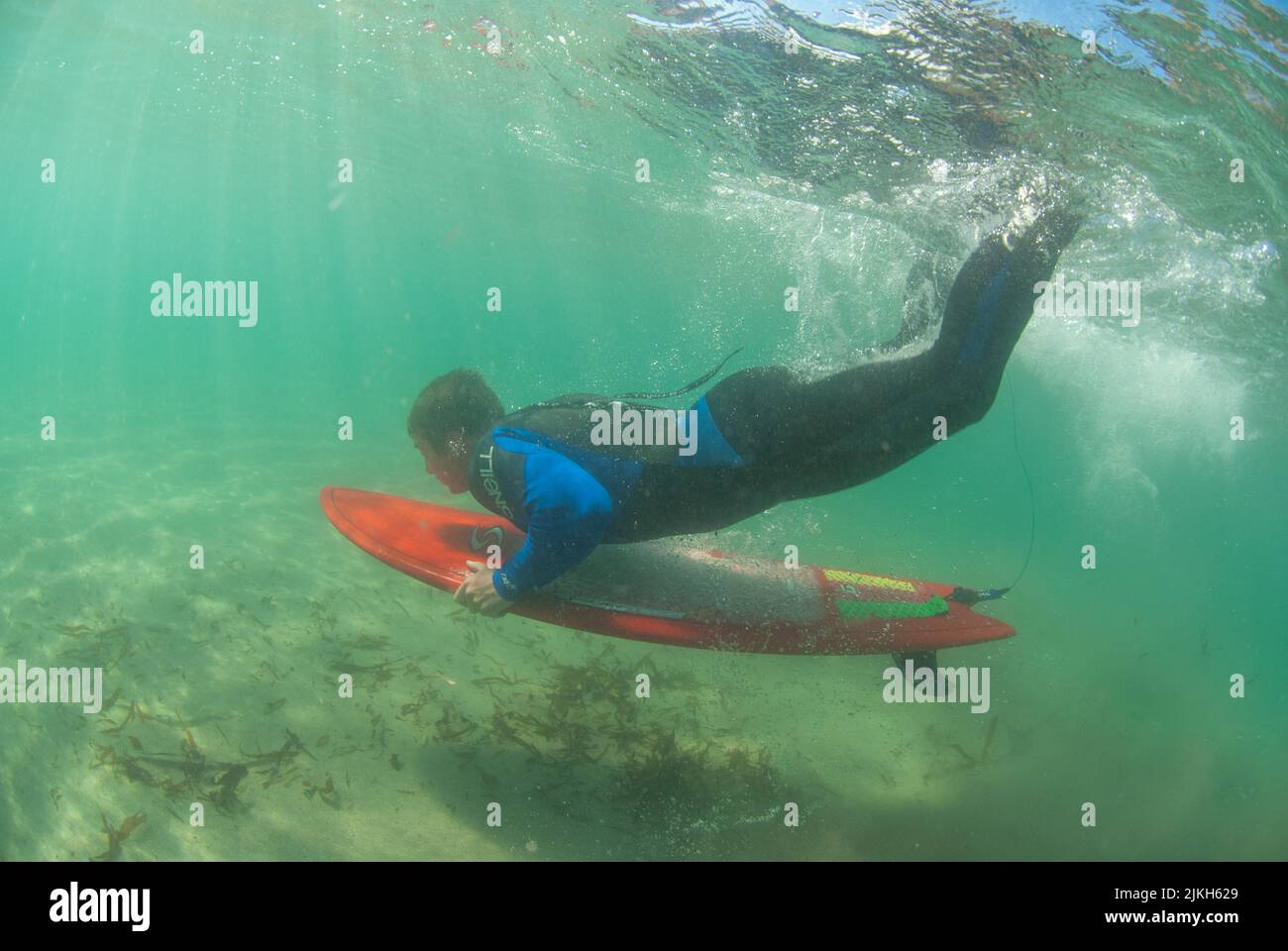 Surfer duck diving a wave when paddling out, West Dale, Wales, UK Stock