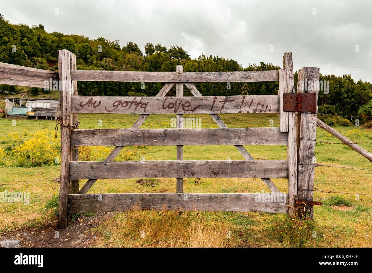 A closeup of a wooden fence with 'you gotta love it!!!' inscription in Valdivia, Chile Stock Photo