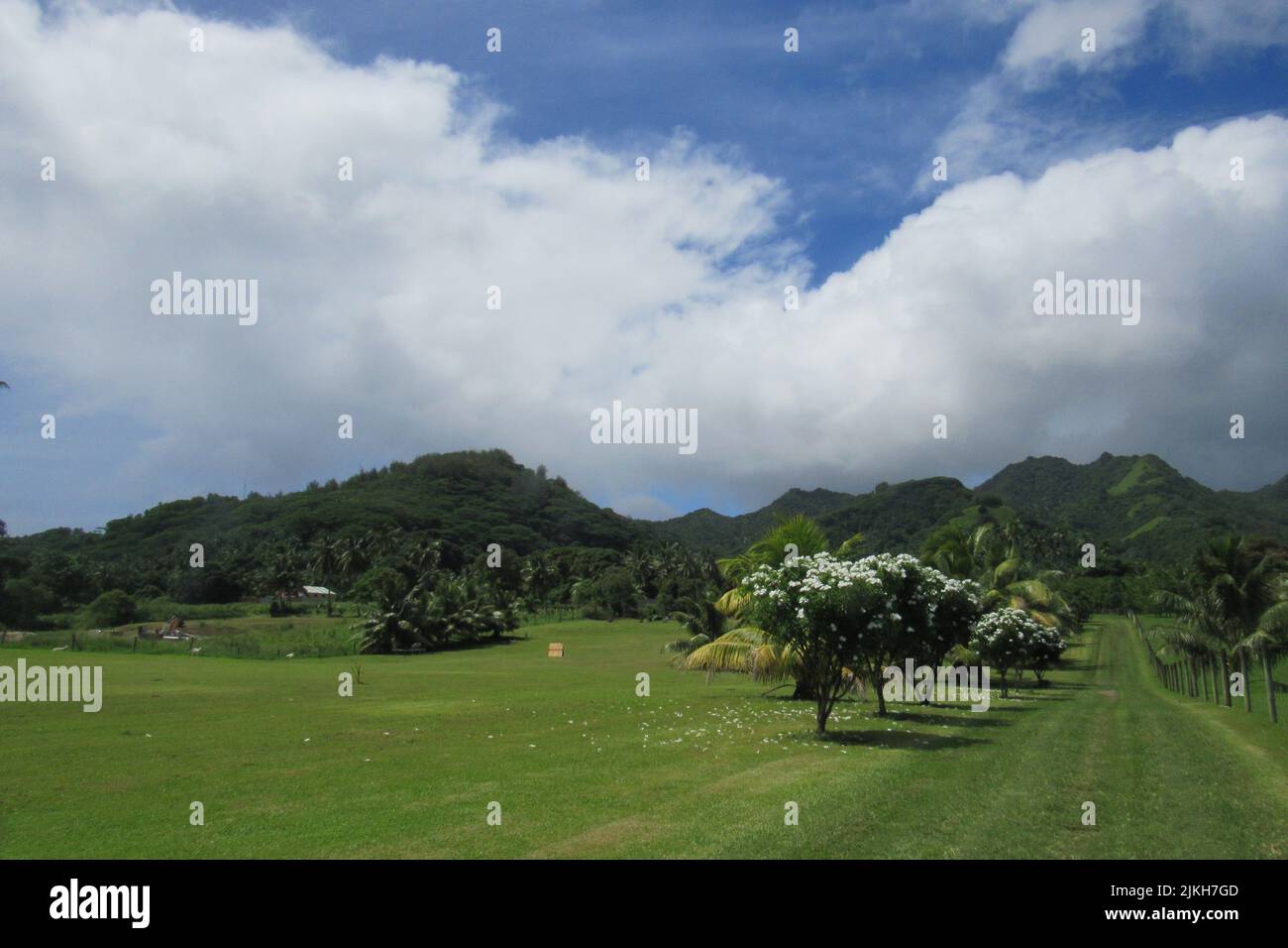 A view of Rarotonga's green tropical mountains rainforests scenery and landscapes Stock Photo