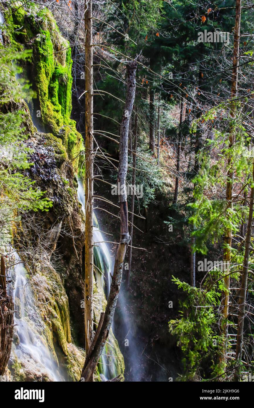 A beautiful landscape of a waterfall in a forest Stock Photo - Alamy