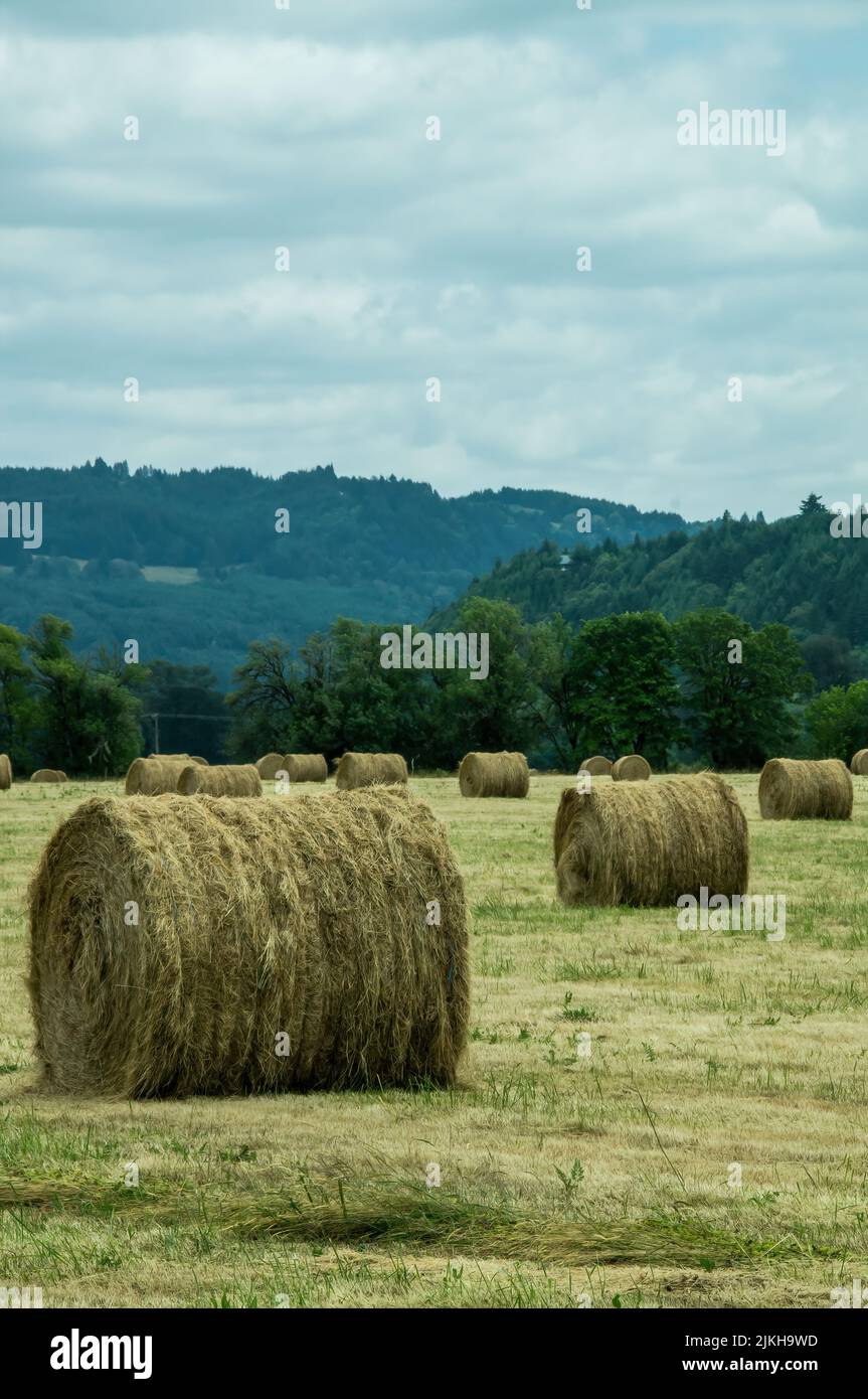 Haystack Drop Shot Vertical shot stacks clouds hi-res stock photography and images - Alamy