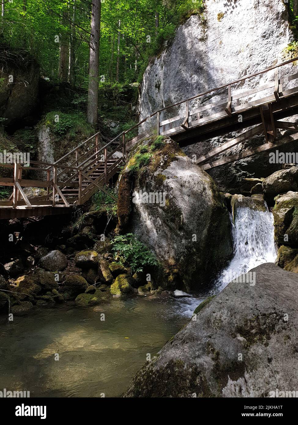 Small bridge at the jungle hi-res stock photography and images - Alamy