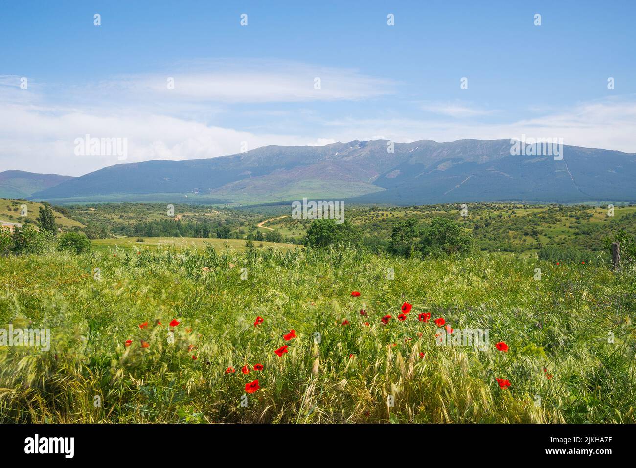 Landscape. Cerezo de Arriba, Segovia province, Castilla Leon, Spain. Stock Photo