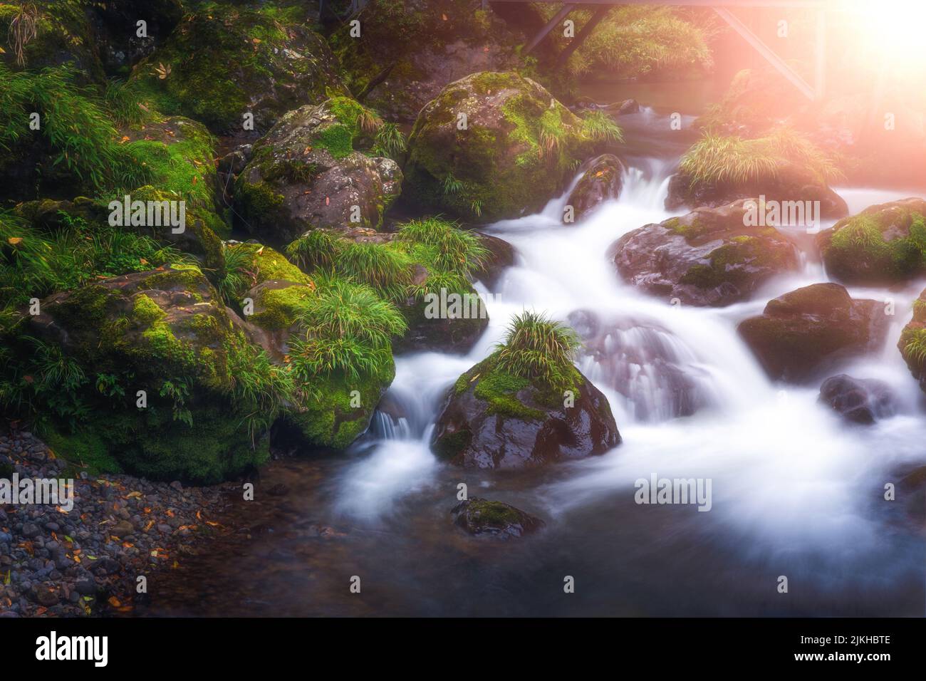 Water Flowing By Moss Covered Rocks In A Stream - PacificStock