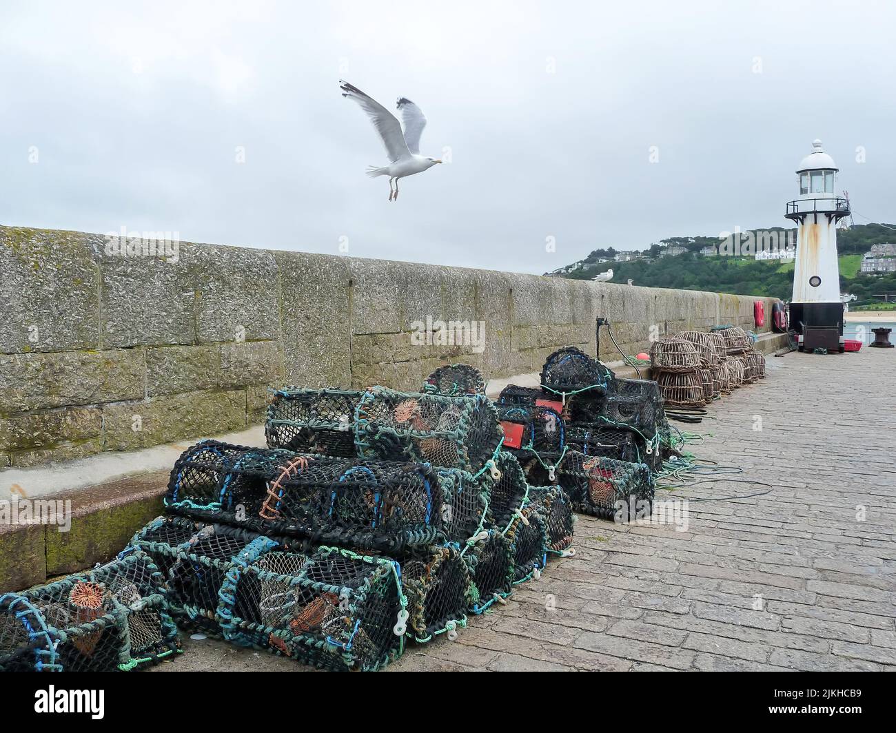 A seagull flying over a pile of lobster traps Stock Photo